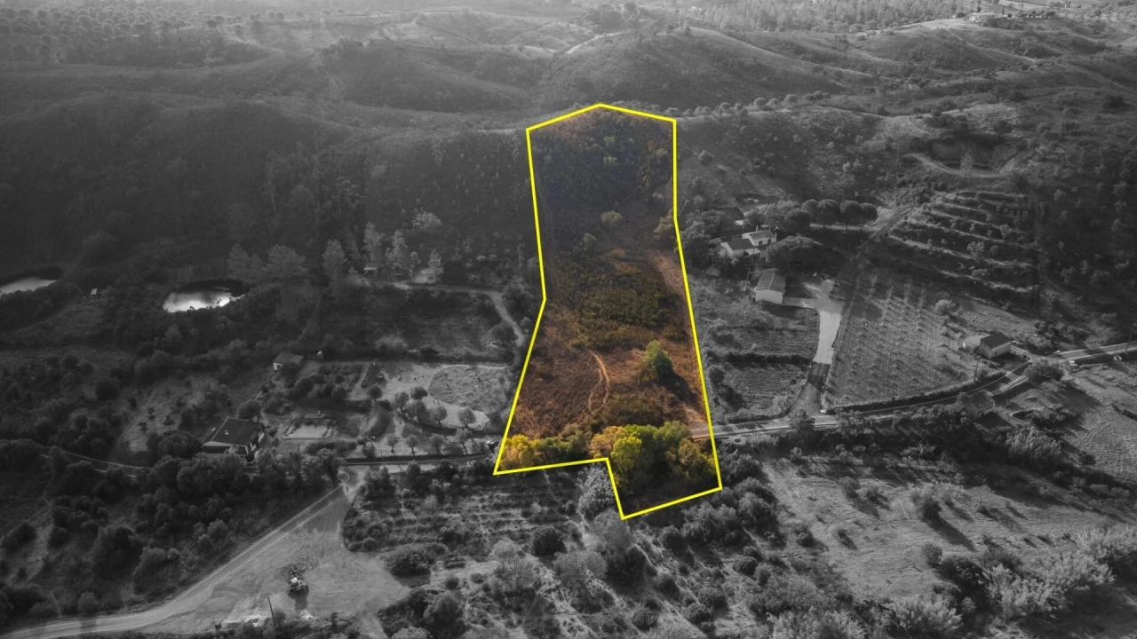 Terreno para Venda em São Bartolomeu de Messines Foto 5