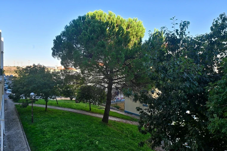 Apartamento T2 para Venda em Massamá e Monte Abraão Foto 20