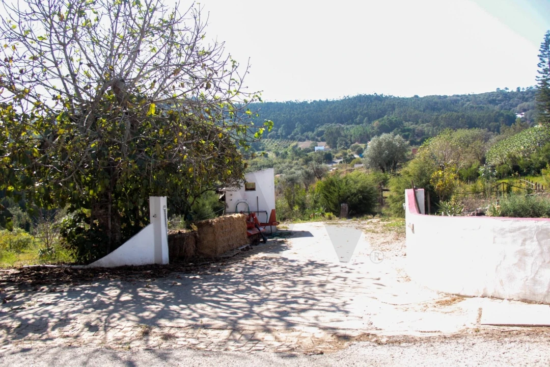 Quinta T9 para Venda em Enxara do Bispo, Gradil e Vila Franca do Rosário Foto 22