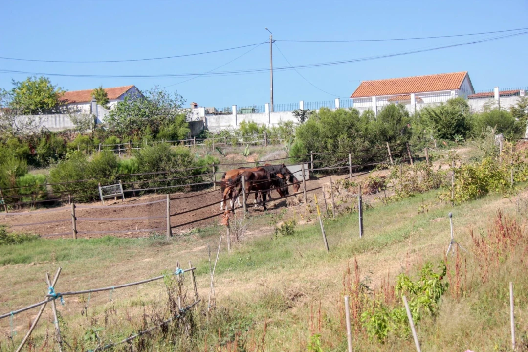 Quinta T9 para Venda em Enxara do Bispo, Gradil e Vila Franca do Rosário Foto 92