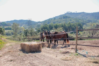 Quinta T9 para Venda em Enxara do Bispo, Gradil e Vila Franca do Rosário