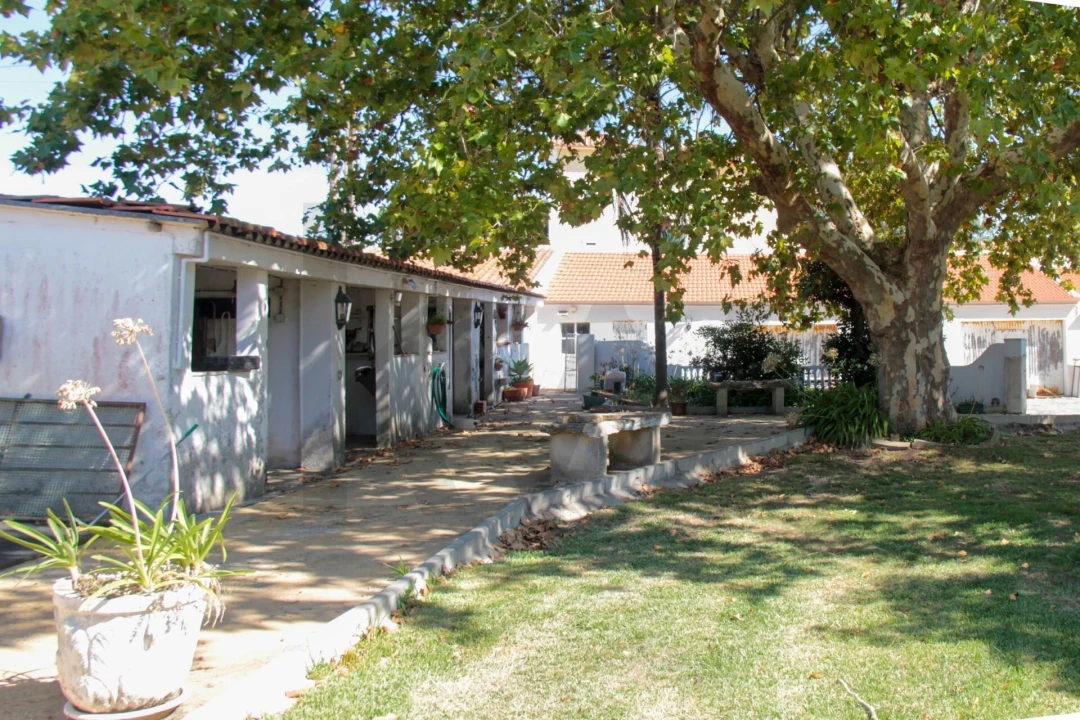 Quinta T9 para Venda em Enxara do Bispo, Gradil e Vila Franca do Rosário Foto 20