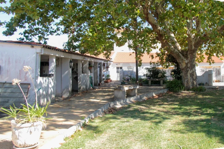 Quinta T9 para Venda em Enxara do Bispo, Gradil e Vila Franca do Rosário Foto 20