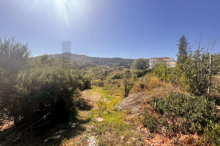Quinta T9 para Venda em Enxara do Bispo, Gradil e Vila Franca do Rosário Foto 98