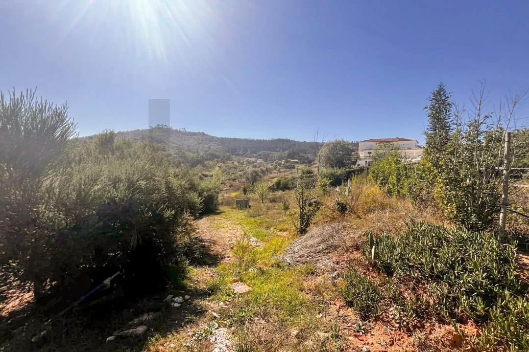 Quinta T9 para Venda em Enxara do Bispo, Gradil e Vila Franca do Rosário Foto 98