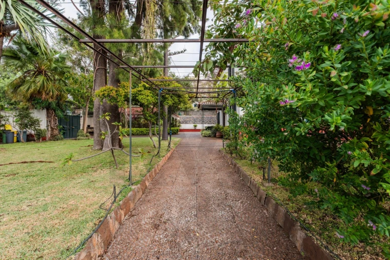 Moradia T5 para Venda em São Martinho Foto 18