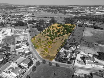 Terreno para Venda em Romeira e Várzea
