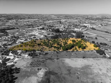 Terreno para Venda em Romeira e Várzea