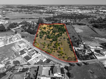 Terreno para Venda em Romeira e Várzea