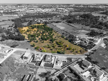 Terreno para Venda em Romeira e Várzea