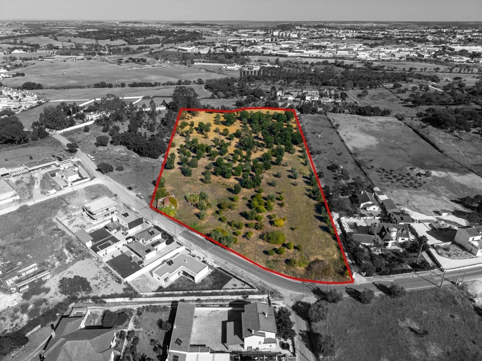 Terreno para Venda em Romeira e Várzea Foto 5