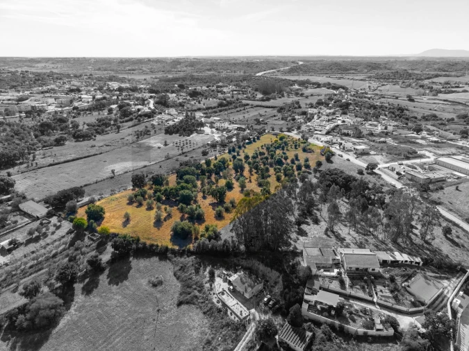 Terreno para Venda em Romeira e Várzea Foto 13