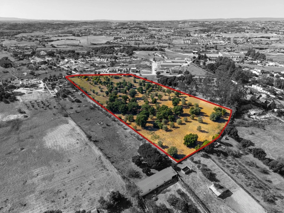 Terreno para Venda em Romeira e Várzea Foto 11