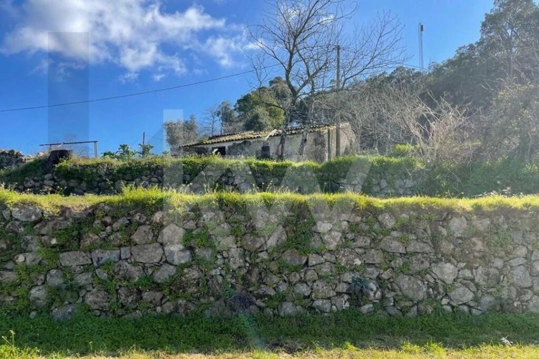 Terreno para Venda em Monchique Foto 4