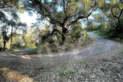 Terreno para Venda em Monchique