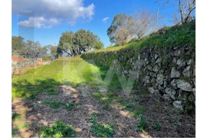 Terreno para Venda em Monchique