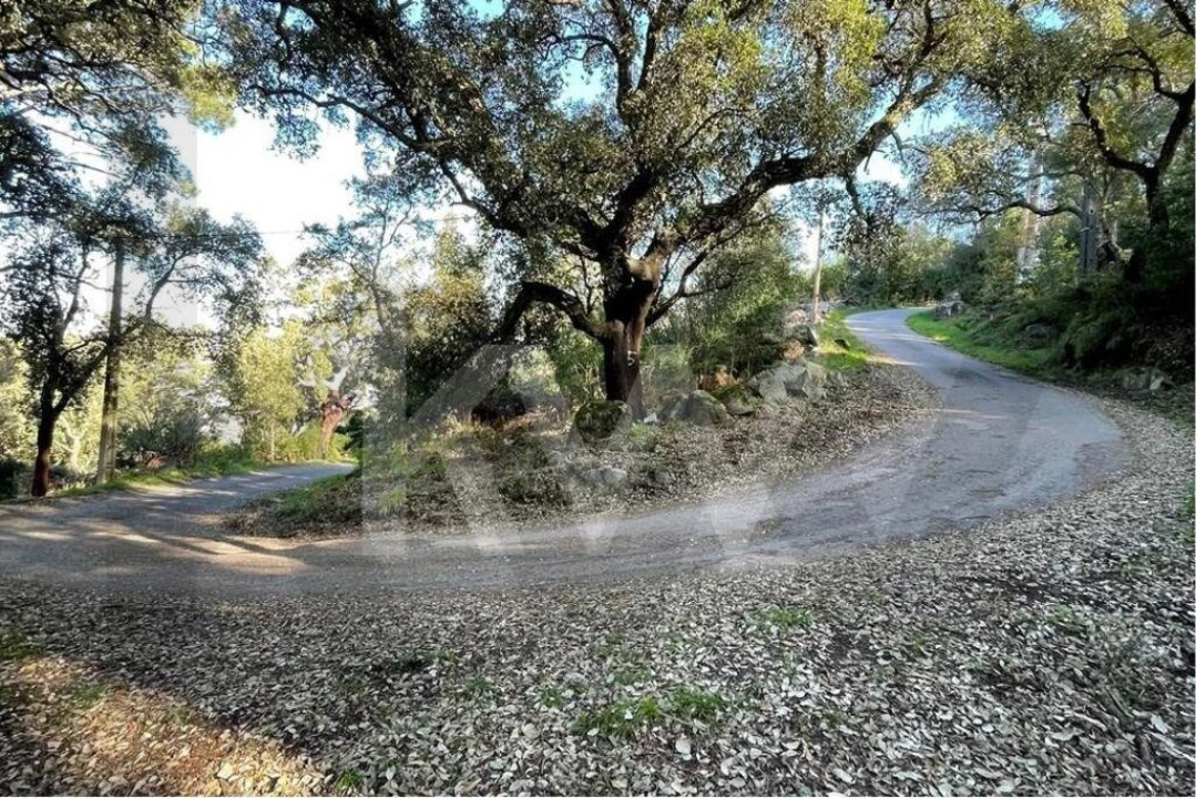 Terreno para Venda em Monchique Foto 12