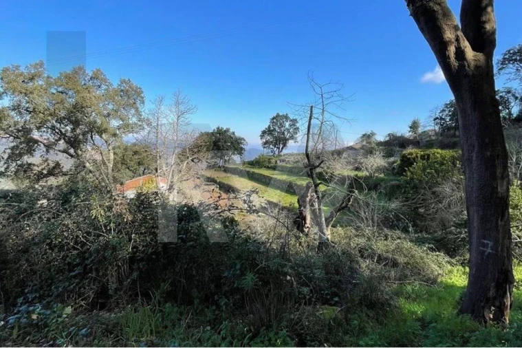 Terreno para Venda em Monchique Foto 15