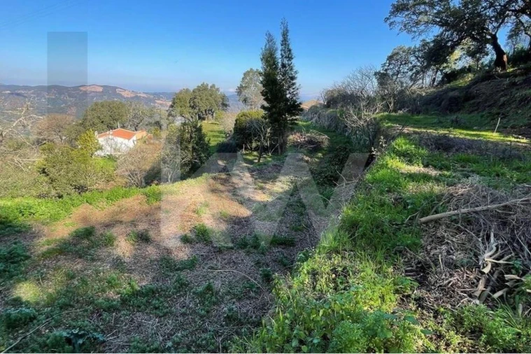 Terreno para Venda em Monchique Foto 11
