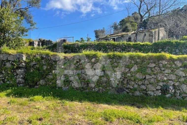 Terreno para Venda em Monchique Foto 19