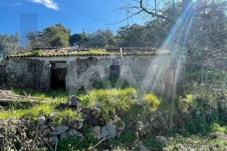 Terreno para Venda em Monchique Foto 2