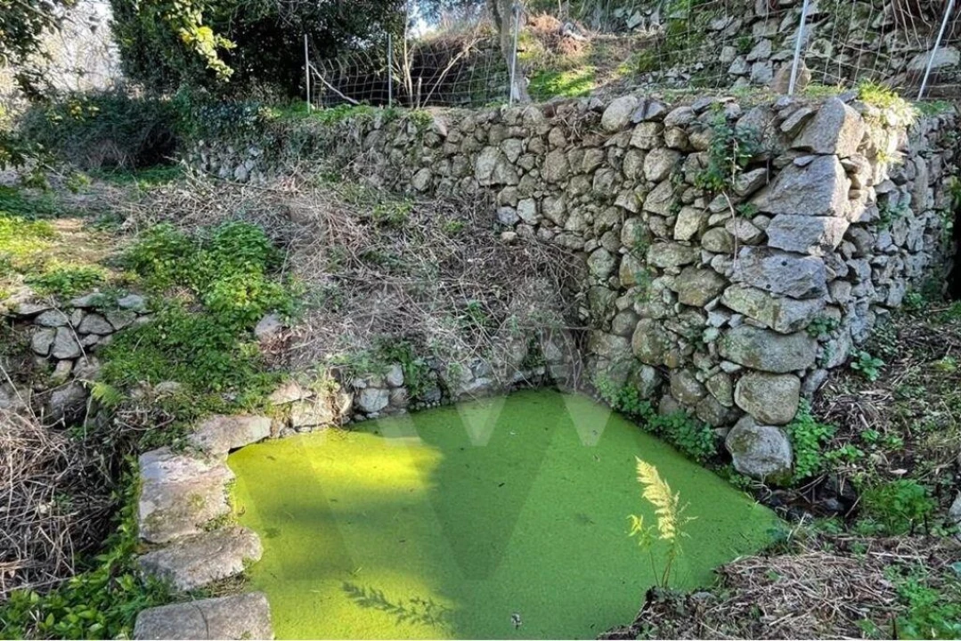 Terreno para Venda em Monchique Foto 9