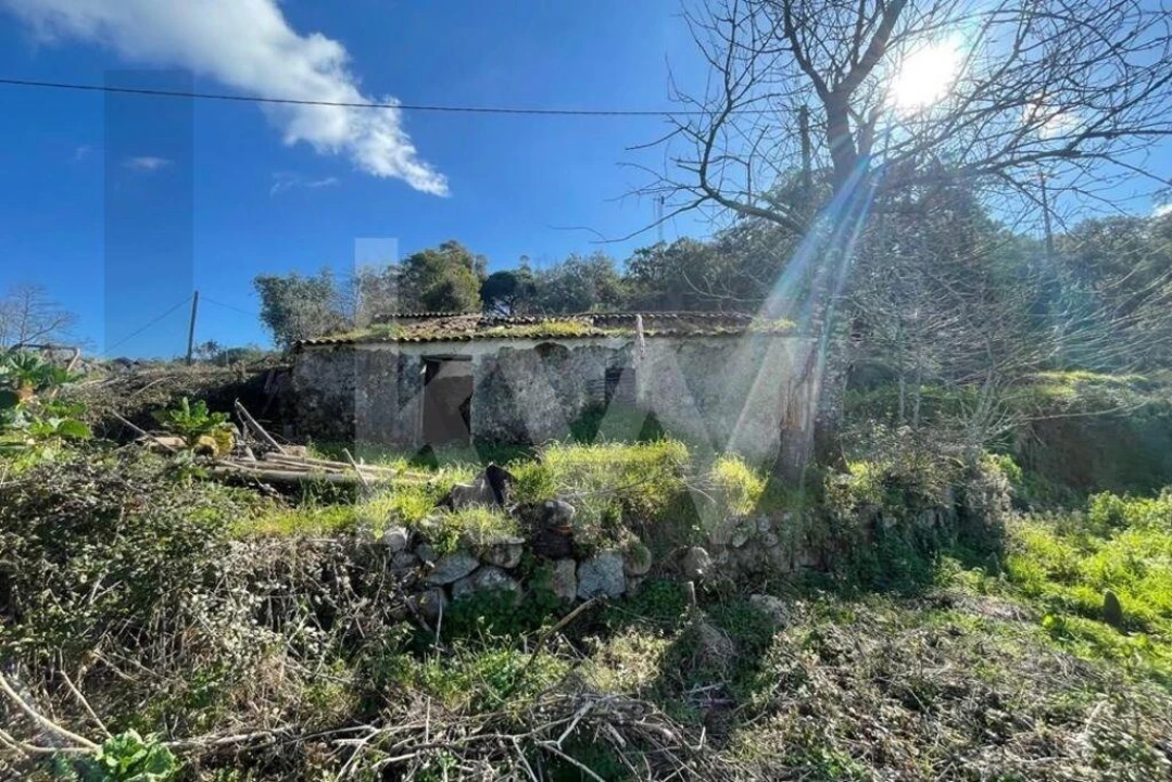 Terreno para Venda em Monchique Foto 3