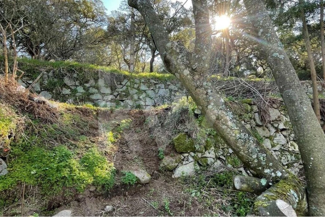 Terreno para Venda em Monchique Foto 16
