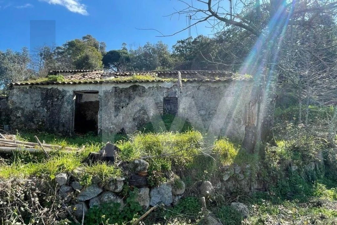 Terreno para Venda em Monchique Foto 2
