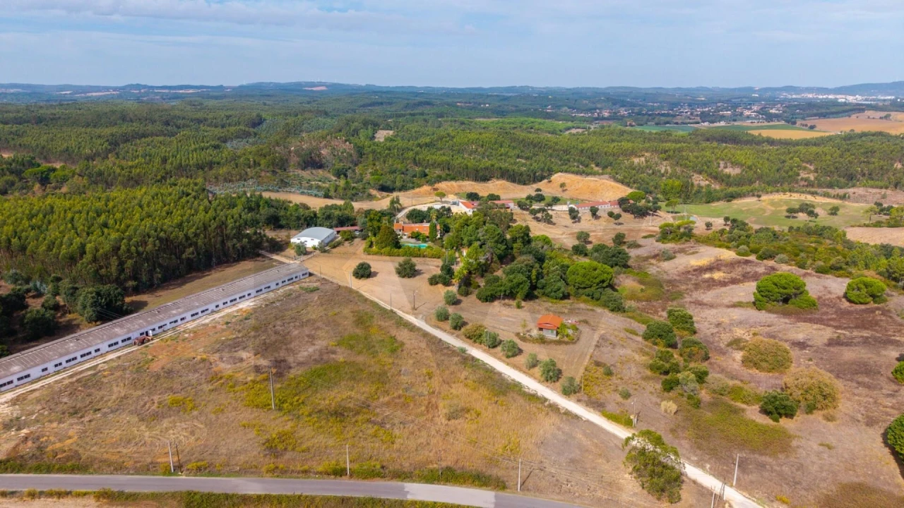 Quinta T6 para Venda em São João da Ribeira e Ribeira de São João Foto 49