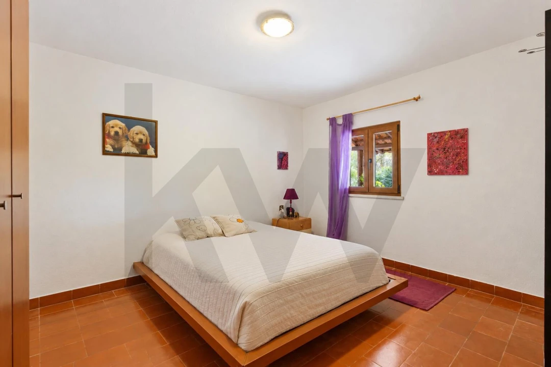 Quinta T6 para Venda em São João da Ribeira e Ribeira de São João Foto 14