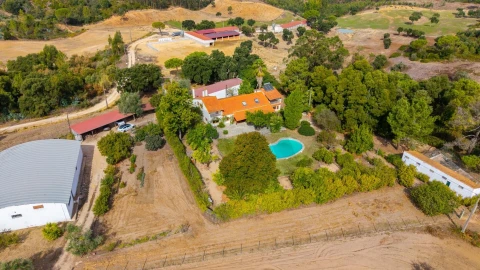 Quinta T6 para Venda em São João da Ribeira e Ribeira de São João