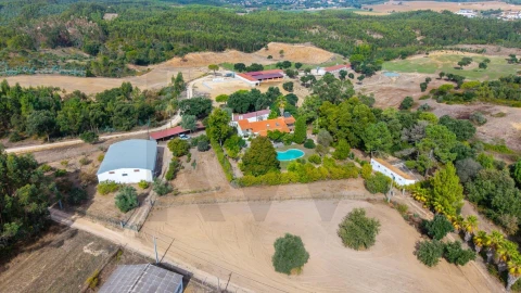 Quinta T6 para Venda em São João da Ribeira e Ribeira de São João
