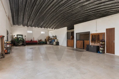 Quinta T6 para Venda em São João da Ribeira e Ribeira de São João
