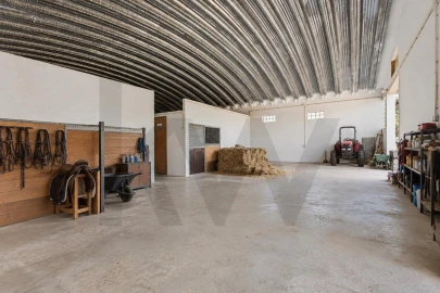 Quinta T6 para Venda em São João da Ribeira e Ribeira de São João