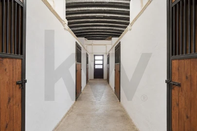 Quinta T6 para Venda em São João da Ribeira e Ribeira de São João