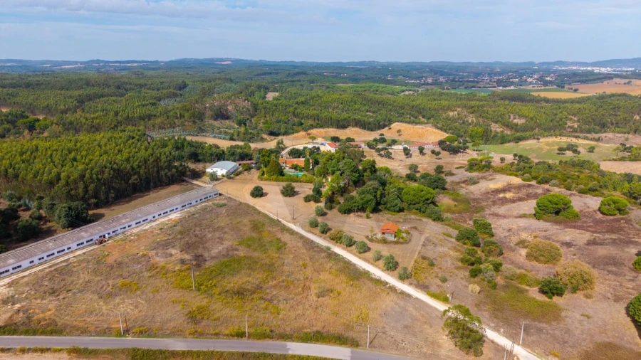 Quinta T6 para Venda em São João da Ribeira e Ribeira de São João Foto 49
