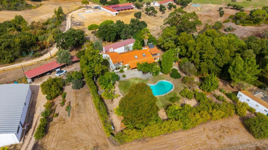 Quinta T6 para Venda em São João da Ribeira e Ribeira de São João Foto 44