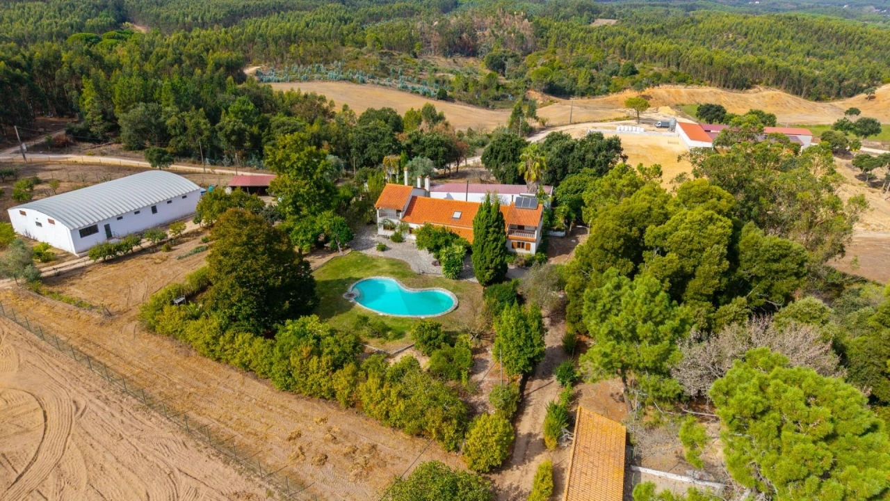 Quinta T6 para Venda em São João da Ribeira e Ribeira de São João Foto 3