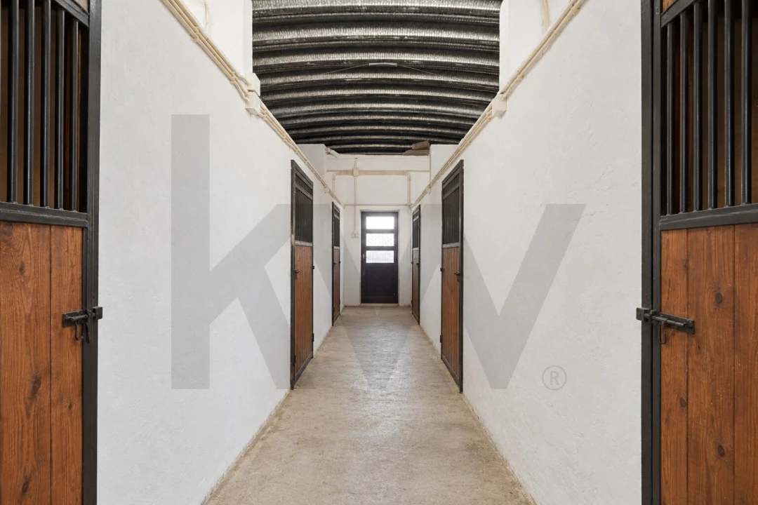 Quinta T6 para Venda em São João da Ribeira e Ribeira de São João Foto 36