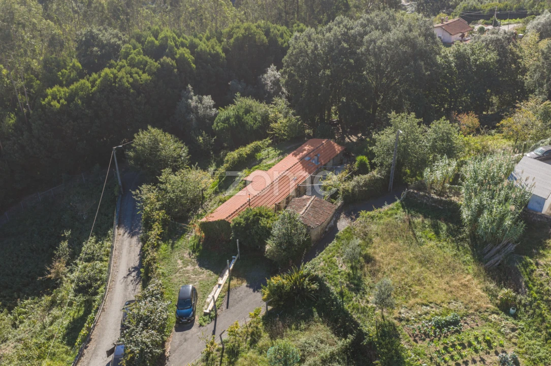 Moradia T1 para Venda em Pinheiro da Bemposta, Travanca e Palmaz Foto 21