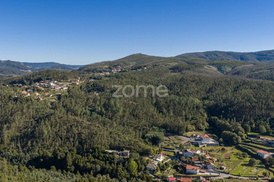 Moradia T1 para Venda em Pinheiro da Bemposta, Travanca e Palmaz Foto 22