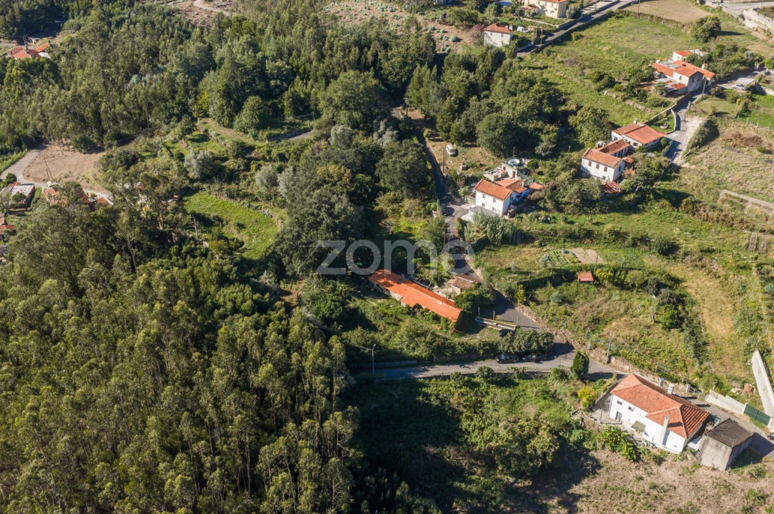Moradia T1 para Venda em Pinheiro da Bemposta, Travanca e Palmaz Foto 23