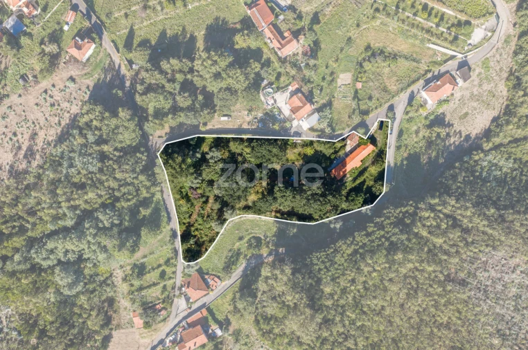 Moradia T1 para Venda em Pinheiro da Bemposta, Travanca e Palmaz Foto 18
