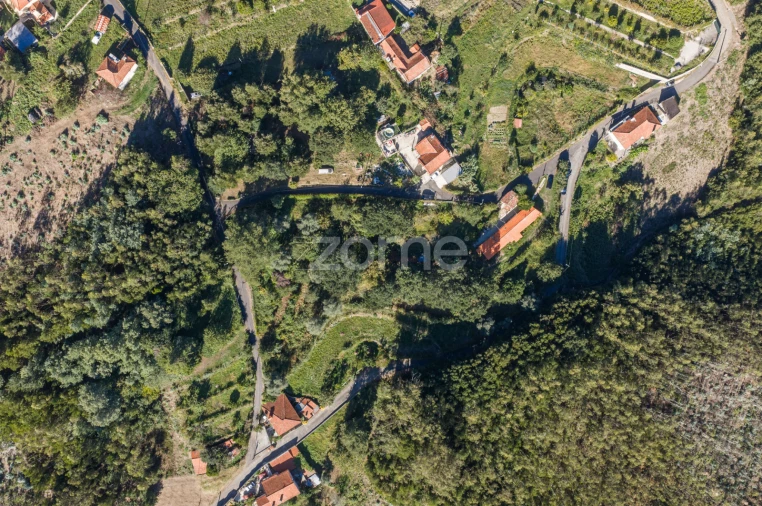 Moradia T1 para Venda em Pinheiro da Bemposta, Travanca e Palmaz Foto 19