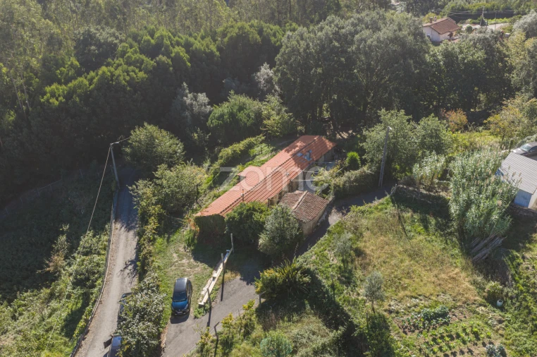 Moradia T1 para Venda em Pinheiro da Bemposta, Travanca e Palmaz Foto 21
