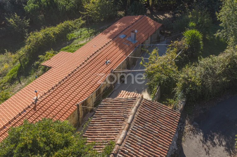 Moradia T1 para Venda em Pinheiro da Bemposta, Travanca e Palmaz Foto 3