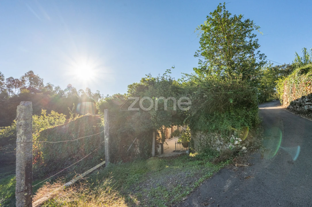 Moradia T1 para Venda em Pinheiro da Bemposta, Travanca e Palmaz Foto 24