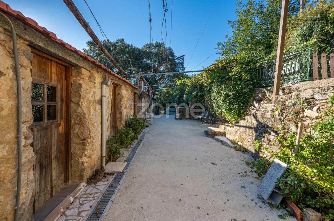 Moradia T1 para Venda em Pinheiro da Bemposta, Travanca e Palmaz Foto 17