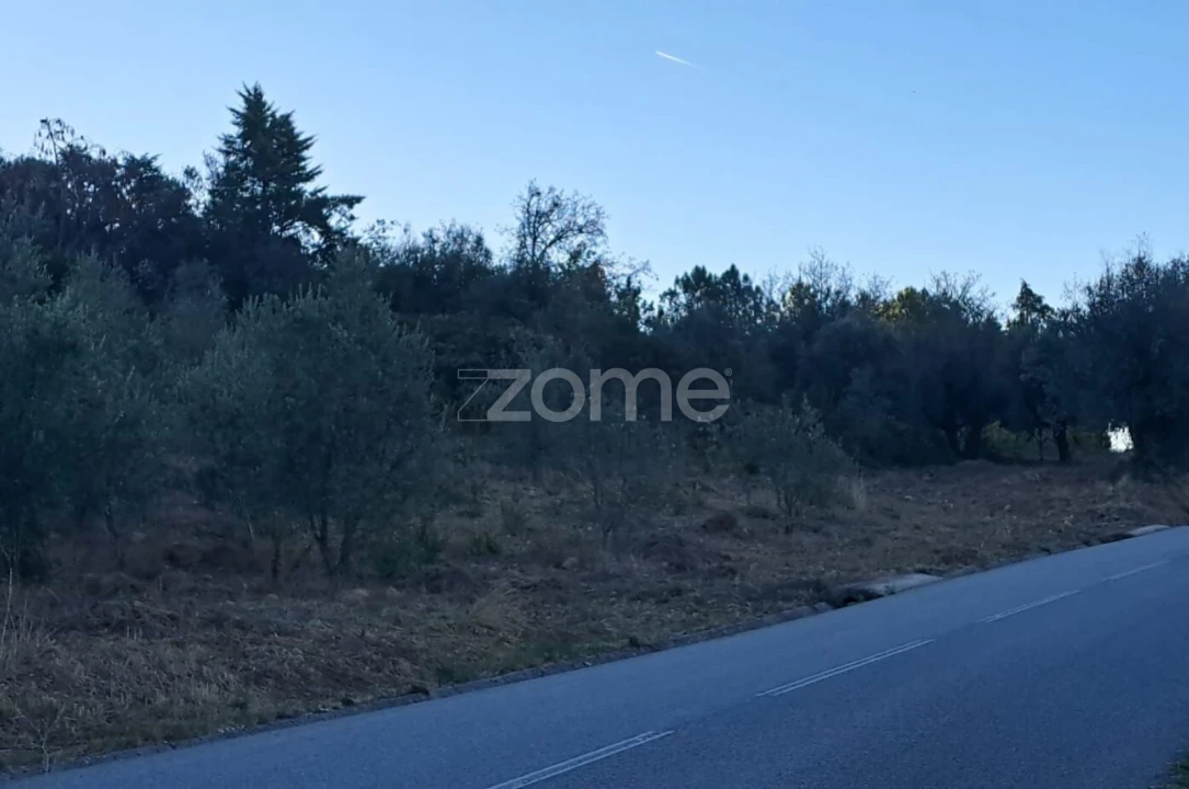 Terreno para Venda em Almalagues Foto 7